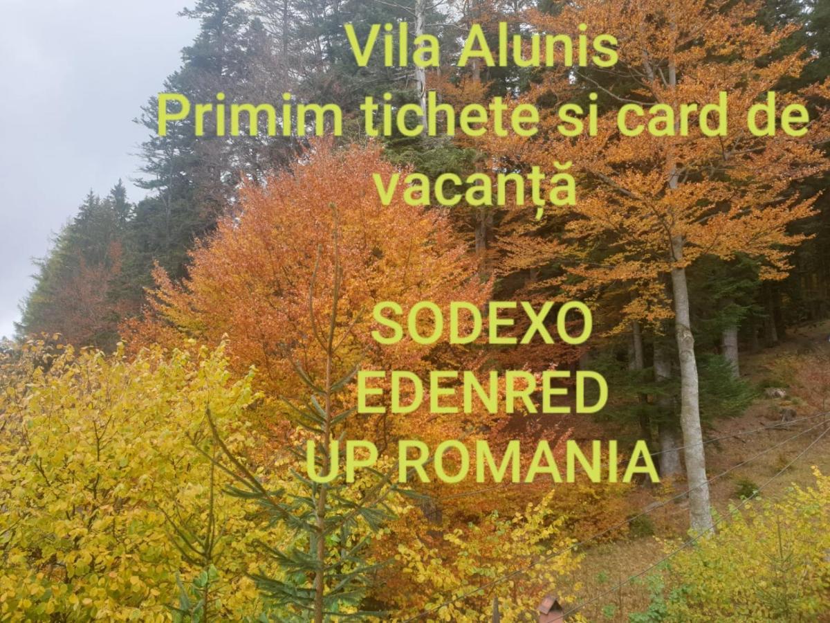 Vila Alunis Buşteni Εξωτερικό φωτογραφία