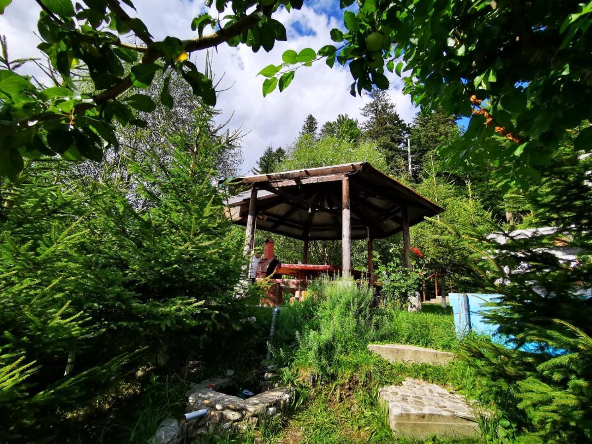 Vila Alunis Buşteni Εξωτερικό φωτογραφία