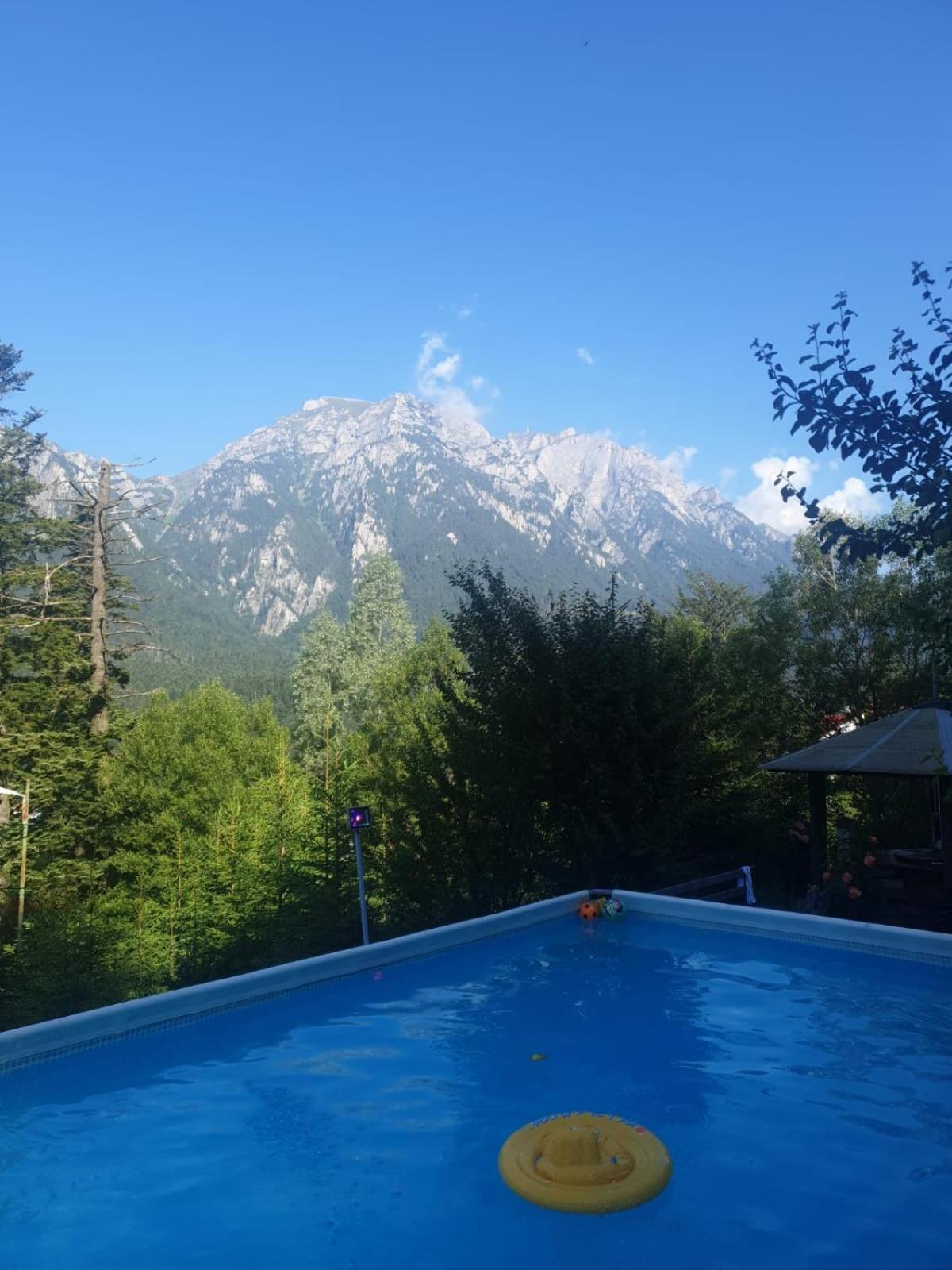Vila Alunis Buşteni Εξωτερικό φωτογραφία