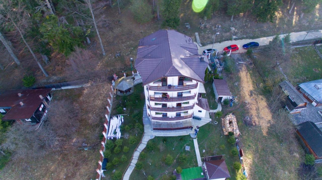 Vila Alunis Buşteni Εξωτερικό φωτογραφία