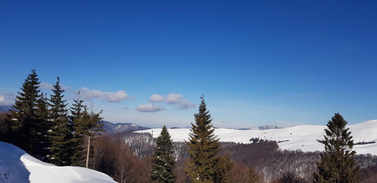 Vila Alunis Buşteni Εξωτερικό φωτογραφία