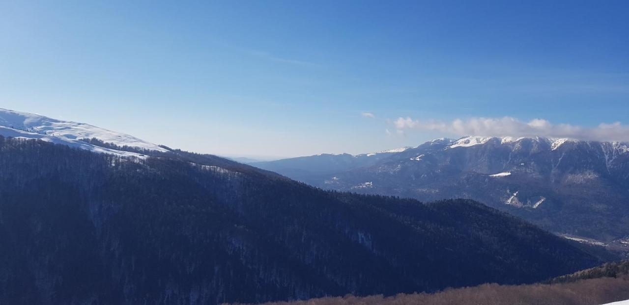 Vila Alunis Buşteni Εξωτερικό φωτογραφία