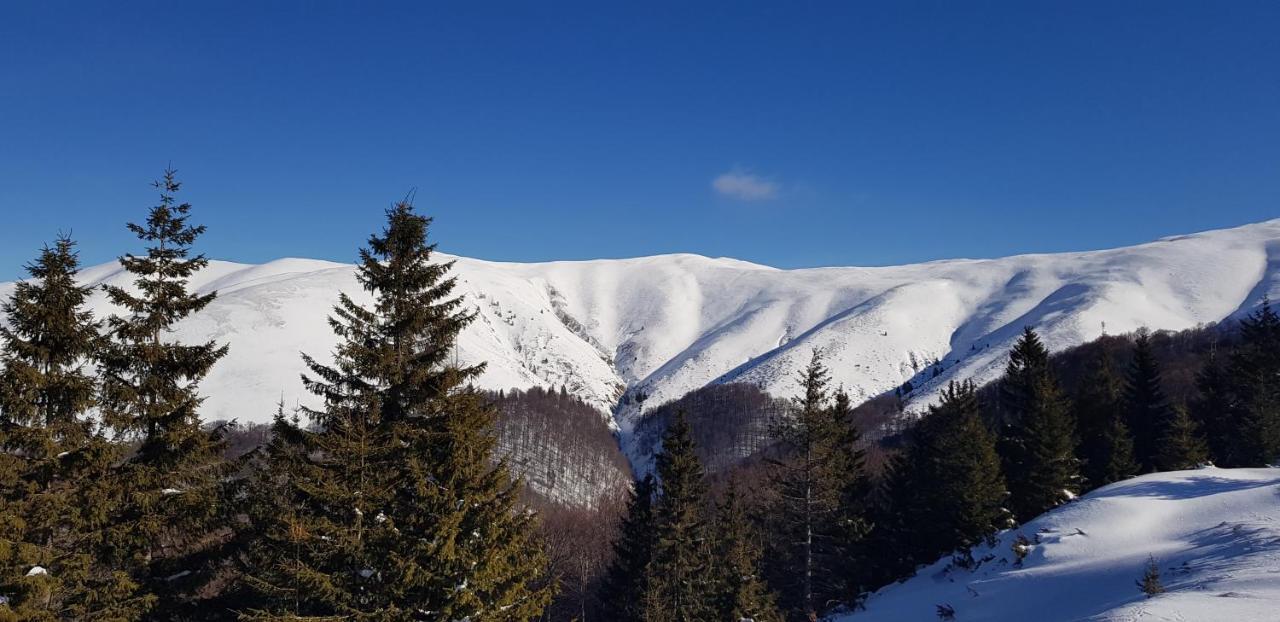 Vila Alunis Buşteni Εξωτερικό φωτογραφία