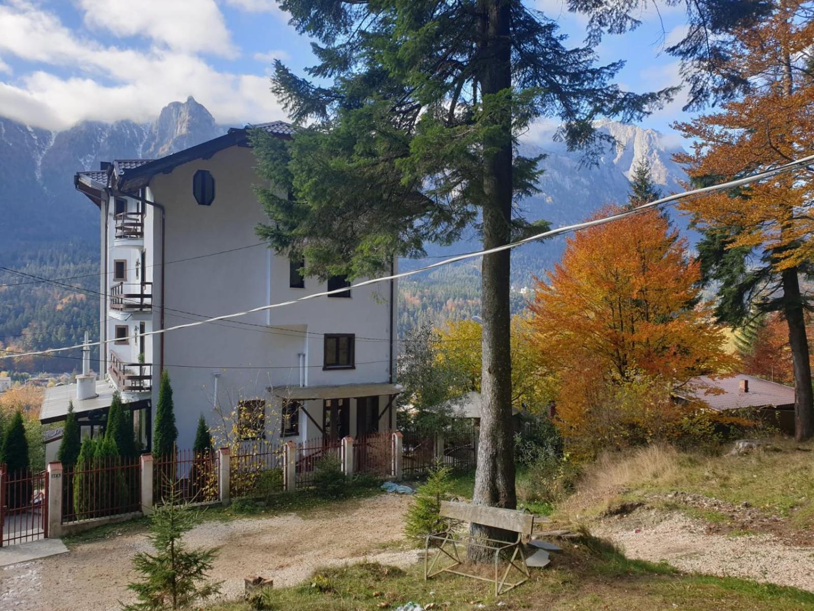 Vila Alunis Buşteni Δωμάτιο φωτογραφία