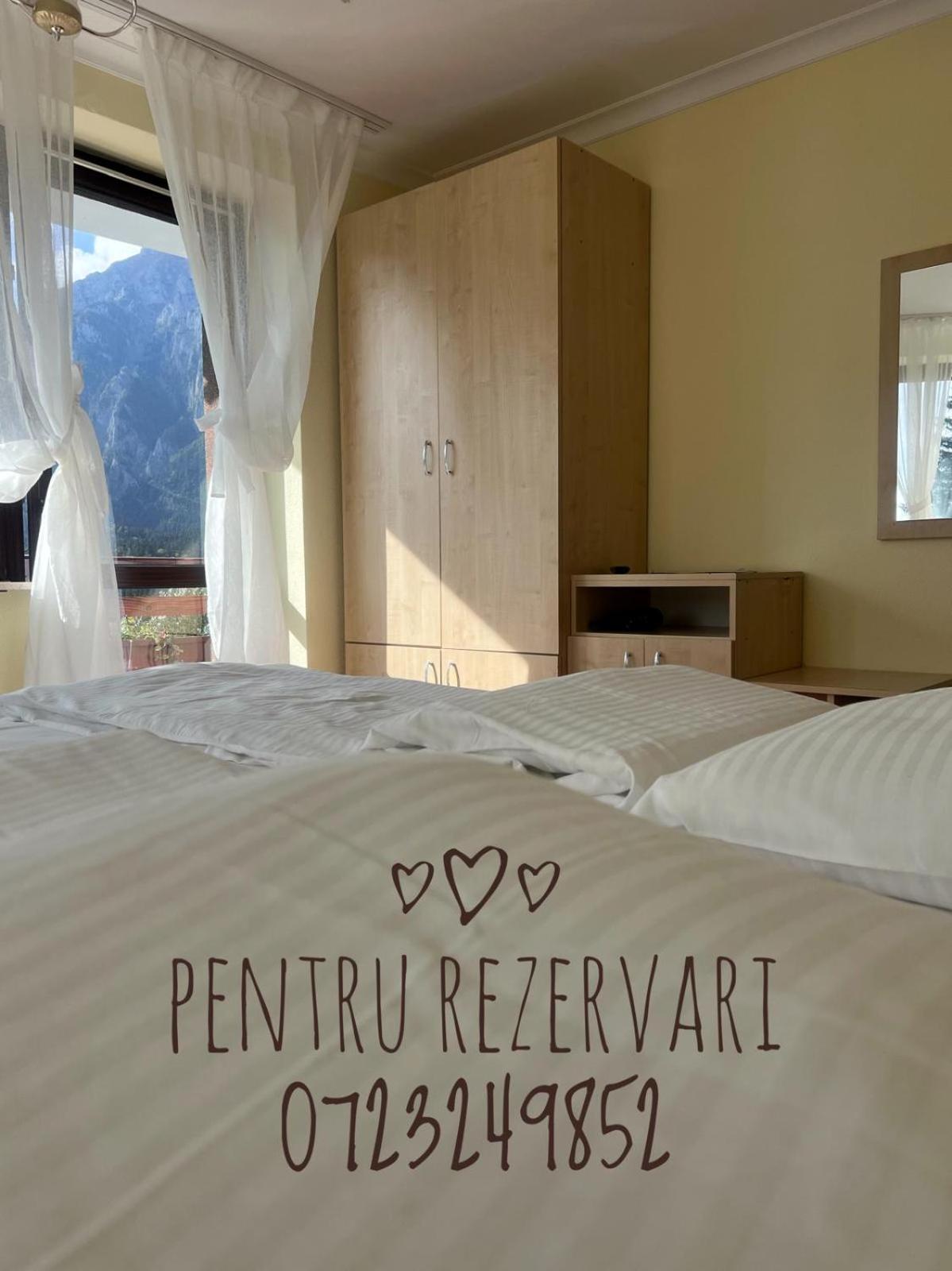 Vila Alunis Buşteni Εξωτερικό φωτογραφία